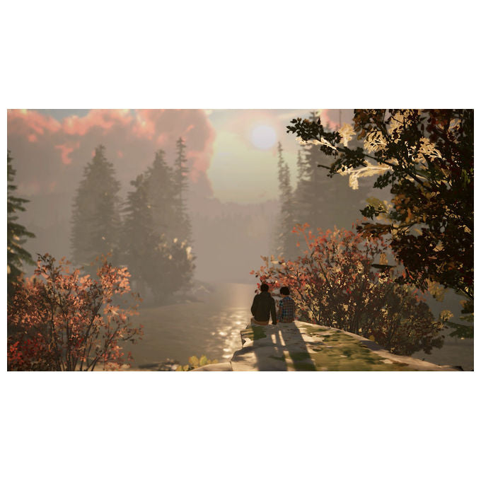 Square Enix SQXL00008 Life is Strange 2 Collezione Gioco Nintendo Switch Avventura PEGI 18