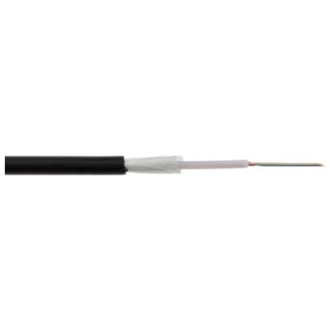 Link Cavo Fibra Ottica da Esterno Dielettrico Om3 Antiroditore 12 Fibre
