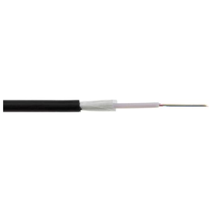 Link Cavo Fibra Ottica 24 Fibre Loose Om3 50-125 Nm Antiroditore Lszh Interno-Esterno Classe Eca