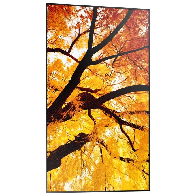 Sharp Display Professionale MultiSync M502 50 Pollici 4K UHD HDR Nero