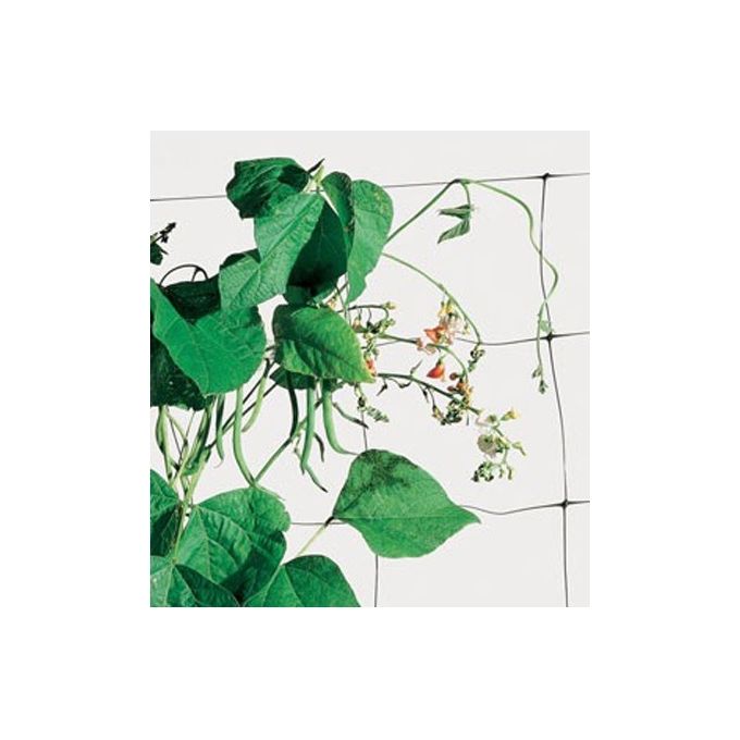 Tenax Flora Rete per Rampicanti Plastica Stabilizzata UV Maglia 150x170 mm 2x20 m colore Verde