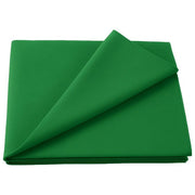 Walimex PRO 16550 Sfondo in Tessuto 2.85 x 6 m 130 g-m² Poliestere con Tunnel colore Verde