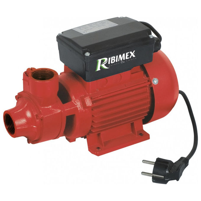 Ribiland Pompa Centrifuga 370 W 40 L-min IPX5 Motore 230 V 50 Hz colore Nero