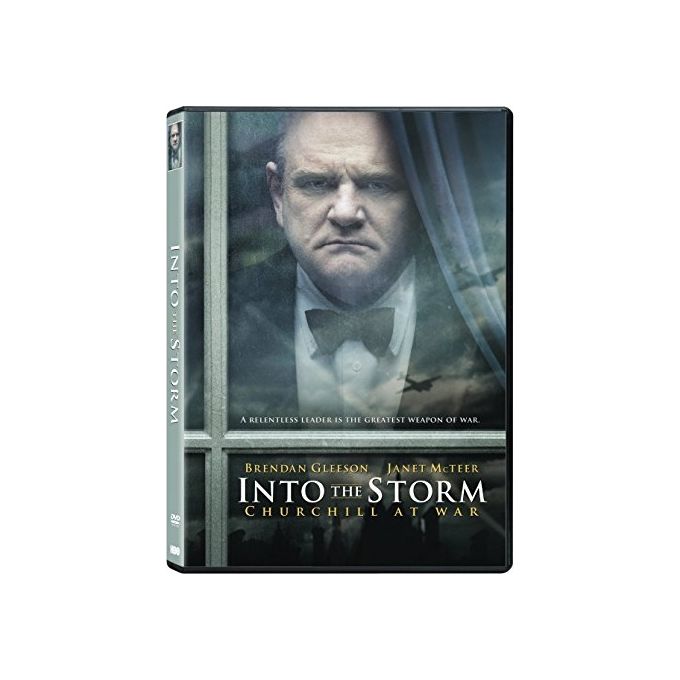 Warner Bros 883929078356 Into the Storm DVD Importazione USA Regione 1 NTSC Sottotitoli Italiano Francese Spagnolo