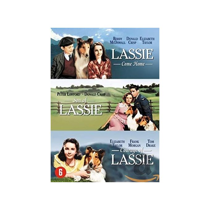 Warner Home Video Lassie Collection Cofanetto 3 DVD Film Classici Elizabeth Taylor Roddy McDowall 271 minuti