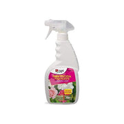 Zapi Insetticida Anticocciniglia Afidi Cimici Lepidotteri Pronto Uso Spray 500 ml Piante Ornamentali