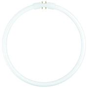 Osram 4050300528526 FC 40 W-840 Lampada LED 39,9 W 3400 lm 4000 K colore Bianco freddo