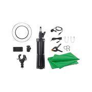 Easypix 62020 MySTUDIO Kit per creator con schermo verde 2x3 m treppiede 120 cm luce LED 15,2 cm microfono colore Verde
