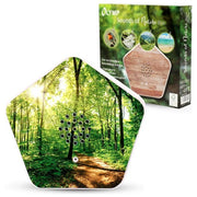 Olympia Sounds of Nature Box