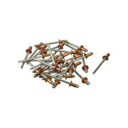 BLINKY 5018048 Rivetti Rame 4.8 x 9 mm 1000 Pezzi colore Rame