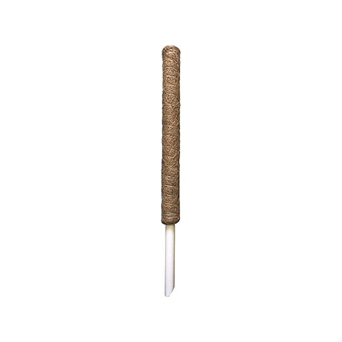 Vigor 7971906 Tutore Muschiato per Rampicanti diametro 5 cm altezza 60 cm colore Marrone