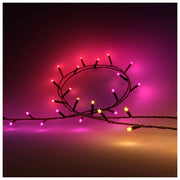 Philips 929003674402 Hue Festavia Stringa di Luci Smart 250 LED 20 m Dimmerabile Bluetooth IP54 colore Nero