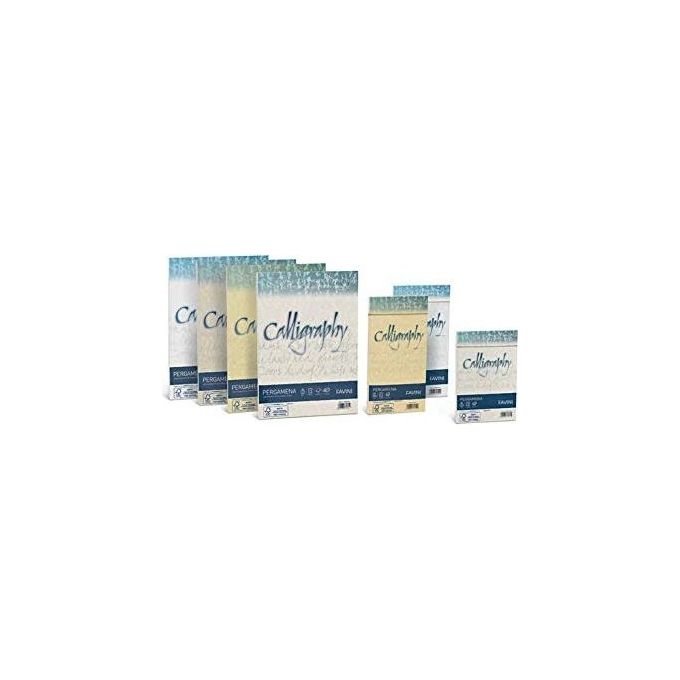 Cartotecnica Favini cf50 Fogli Pergamena a4 90g Bianco