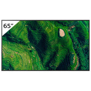 Sony FW-65BZ35P Display professionale 65'' 4K UHD 500 cd-m² IPS DBNG IP5X 24-7 colore Nero