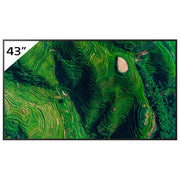Sony FW43BZ35PB.CEI BZ35P Pannello piatto per segnaletica digitale 43'' 4K Ultra HD 500 cd-m² Wi-Fi Android 24-7 colore Nero