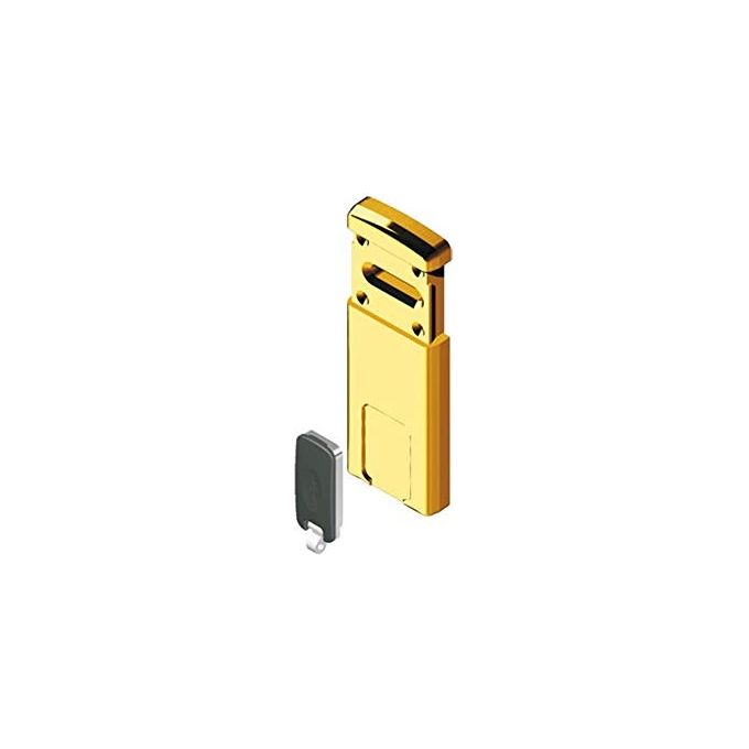 Disec MG220-4W Defender Magnetico per Serratura a Doppia Mappa Chiusura Scorrevole a Magneti con 2 Chiavi Magnetiche e Carta di Proprieta' colore PVD Ottone