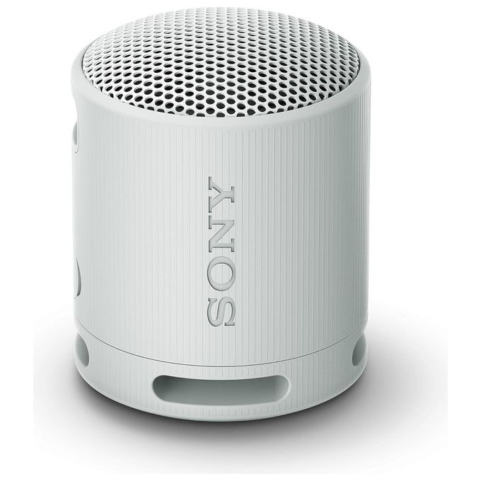 Sony SRSXB100H Speaker Bluetooth Portatile IP67 Impermeabile Batteria 16 h Microfono Vivavoce colore Grigio