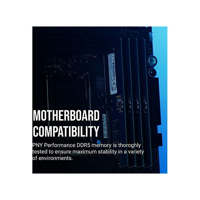 PNY MD16GSD54800-TB Performance Modulo RAM DDR5 16GB 4800MHz DIMM 288-pin CL40 1.1V colore Nero