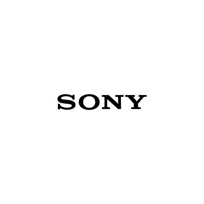 Sony MDR-EX15LP Cuffie Intrauricolari Leggere con Driver da 9 mm per Audio di Alta Qualita' e Comfort Estremo