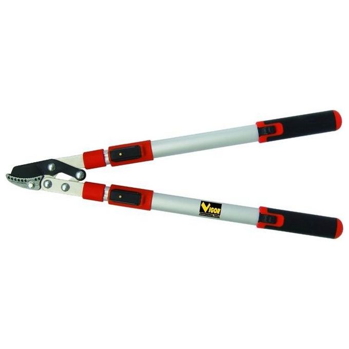 Blinky 6993720 Cesoie per Potatura Manico Telescopico 49-83 cm Taglio a Battente Lame Acciaio al Carbonio Capacita' 32 mm