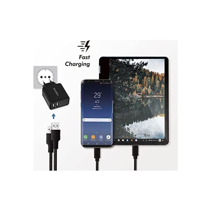 Logilink Caricabatterie con 2 porte Usb 12W Nero