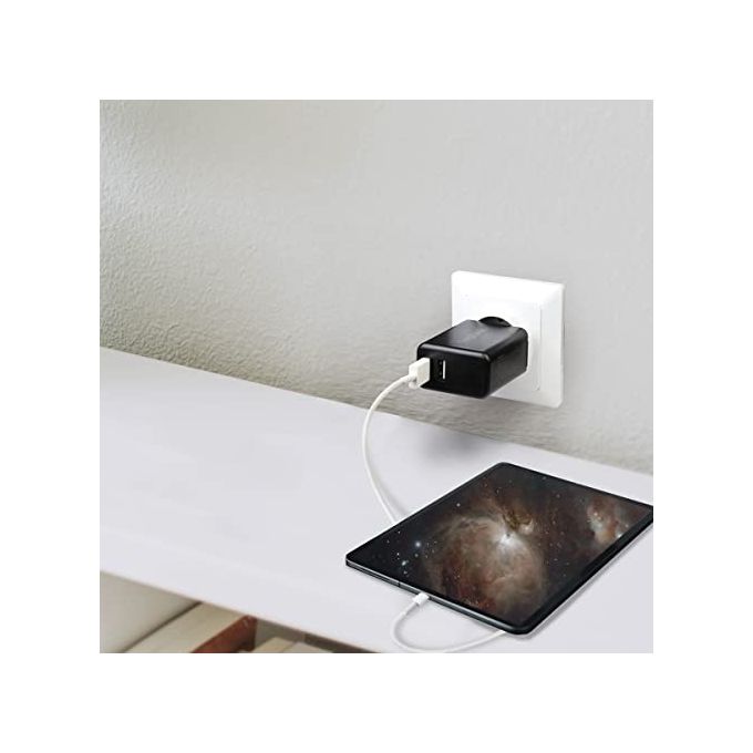 Logilink Caricabatterie con 2 porte Usb 12W Nero