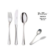 PINTINOX 22400006 America Coltello da Frutta Forgiato in Acciaio Inox 18-10 Spessore 2,5 mm Confezione da 12 Pezzi colore Lucido