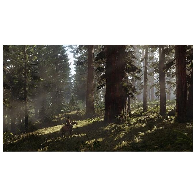 Red Dead Redemption 2 PlayStation 4 PS4