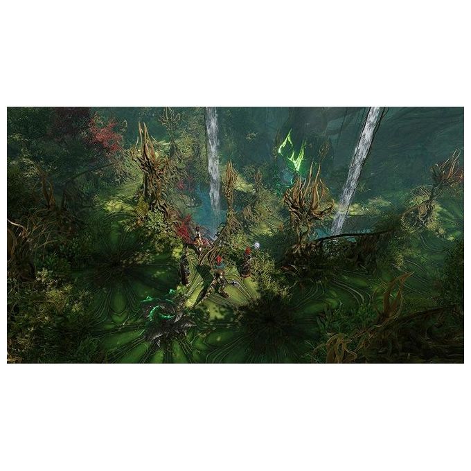 Divinity: Original Sin II Definitive Edition Xbox One