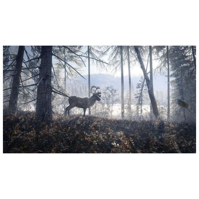 The Hunter Call of the Wild PS4 Playstation 4