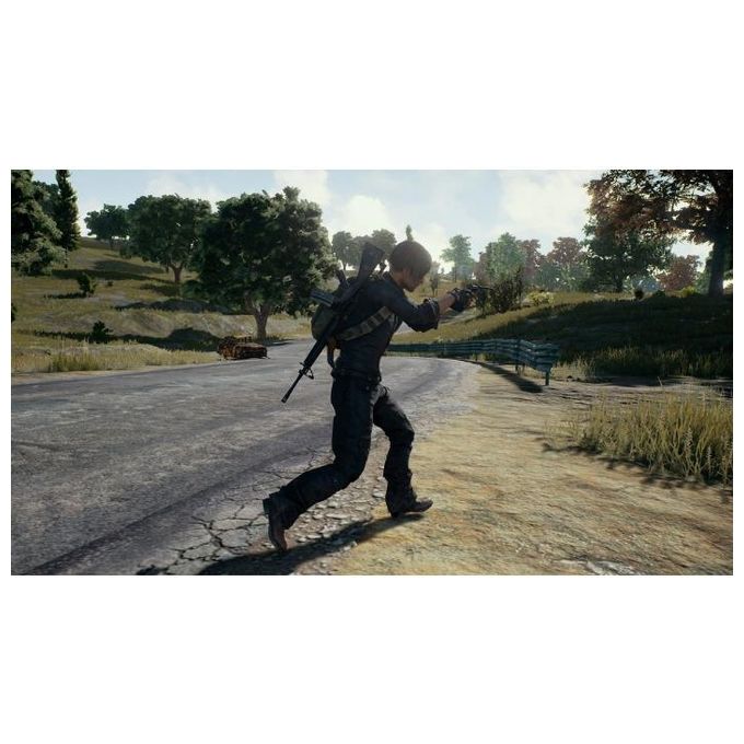 PlayerUnknown's Battlegrounds PS4 PlayStation 4