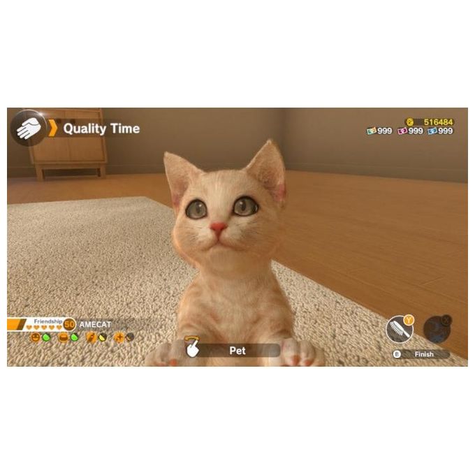 Little Friends: Dogs and Cats Nintendo Switch