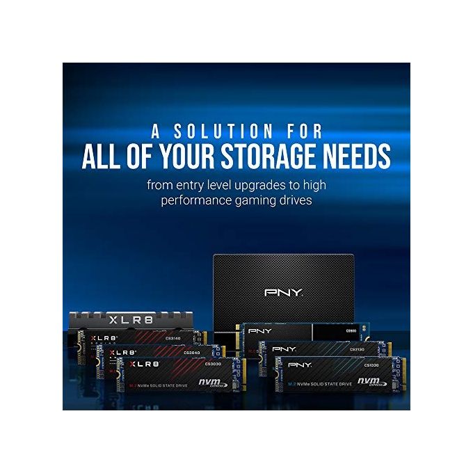 PNY SSD7CS900-1TB-RB CS900 SSD Interno 1TB SATA III 2.5'' 3D TLC 535 MB-s Lettura 500 MB-s Scrittura